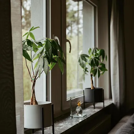 Apartment „goettschied“