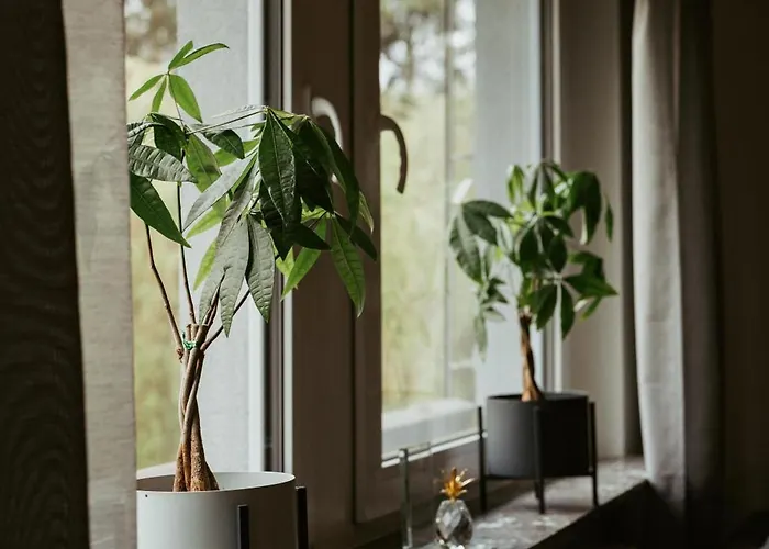 Apartamento „goettschied“